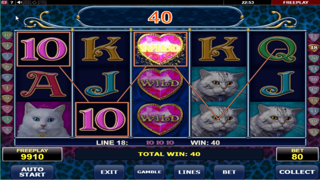 Бонусная игра Diamond Cats 2